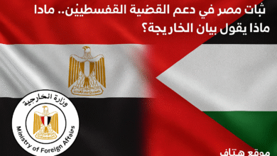 دعم مصر لفلسطين كما أكدت عليه وزارة الخارجية المصرية في بيان رسمي