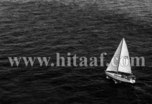 قيمة الحياة في وجود هدف نناضل من أجله