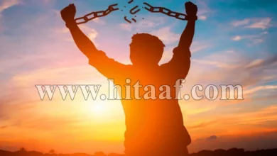 حدود الحرية بين الفرد والمجتمع