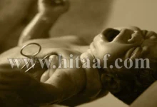 اصرخ، صرخة الحياة في عالم مليء بالتحديات