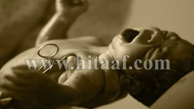 اصرخ، صرخة الحياة في عالم مليء بالتحديات